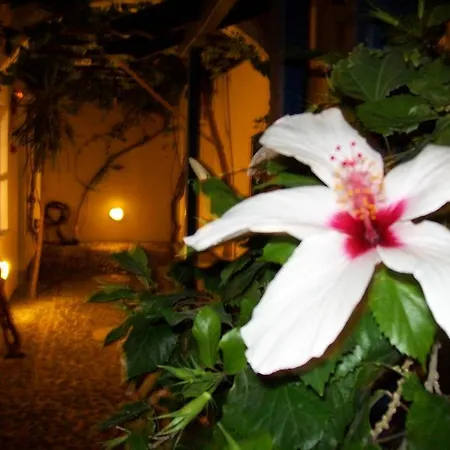 Spyros Santorini Apartmán *